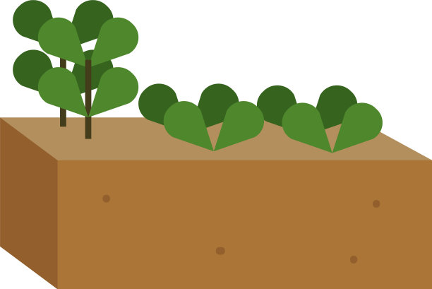 孤立的植物播种图片下载