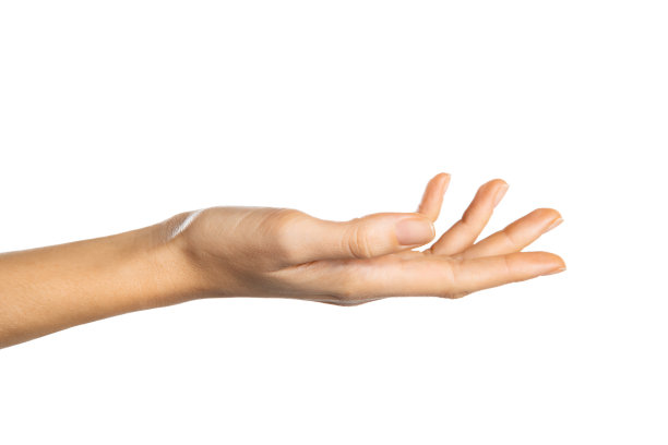 空开放女性手孤立在白色背景图片下载