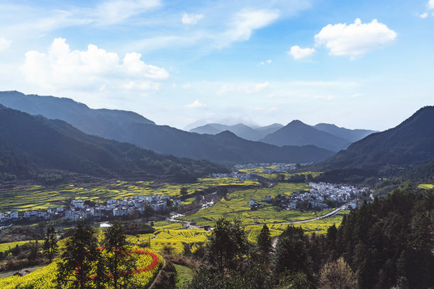 中国婺源县油菜花风景区图片下载