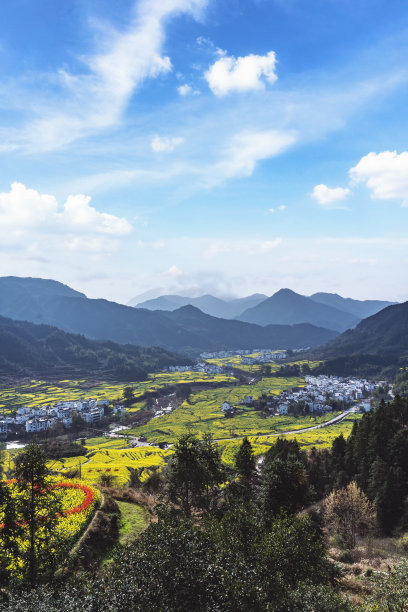 中国婺源县油菜花风景区图片下载