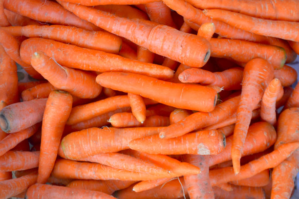 胡萝卜的背景照片图片下载