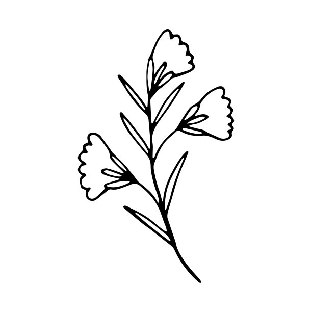 花素描社交媒体故事花元素图片下载