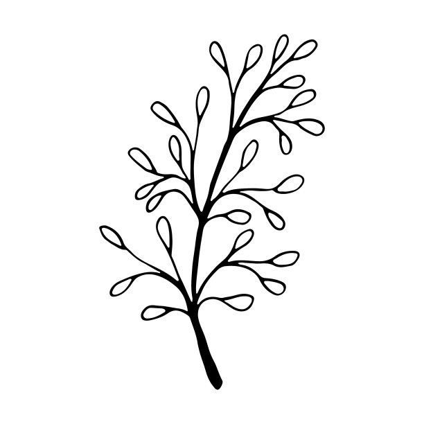 封面突出显示图标图片下载