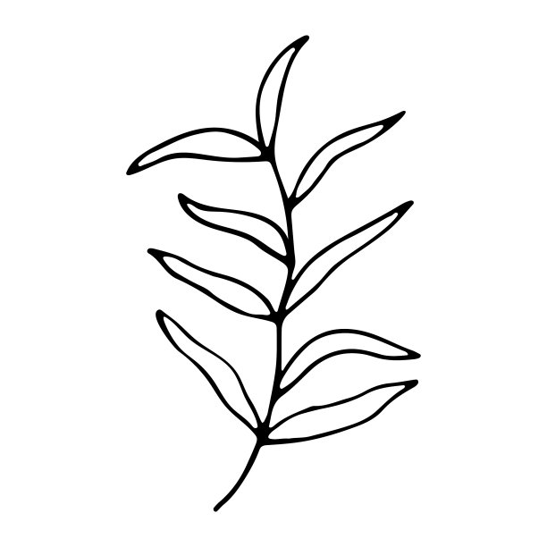 社交媒体的花卉手绘涂鸦图标图片下载