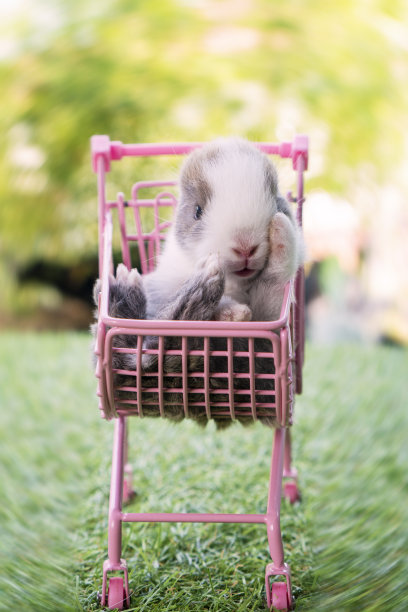 复活节动物和购物概念。新生的毛茸茸的小兔子兔在粉红色的小购物车上，绿色的草地上，在bokeh自然的背景图片下载
