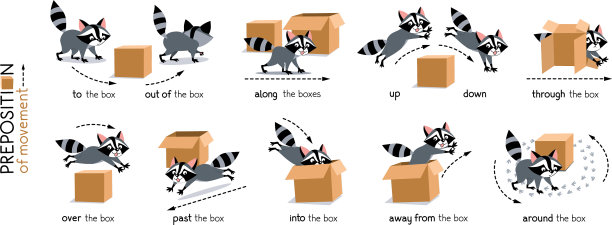 介词运动浣熊和箱子图片下载