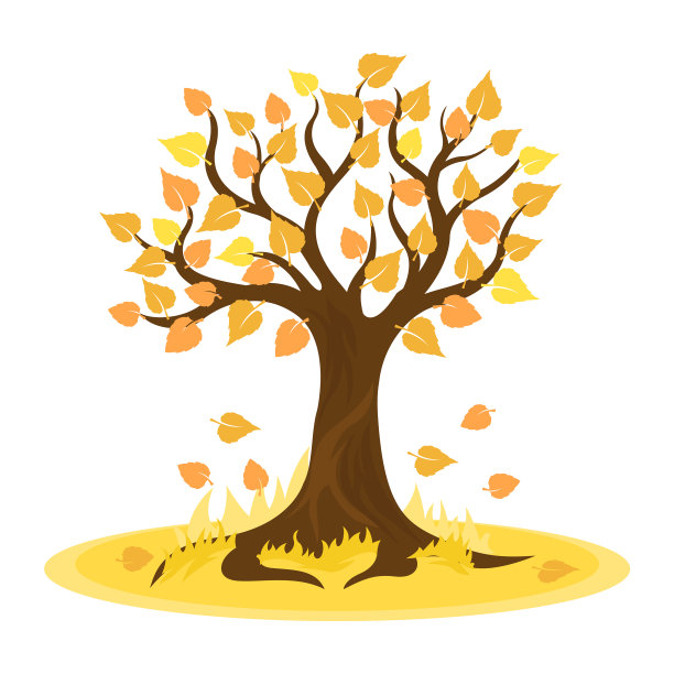 秋天的树，黄叶图片下载