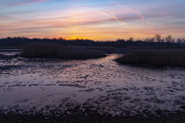 苏斯自然保护区，西波西米亚，捷克共和国图片下载