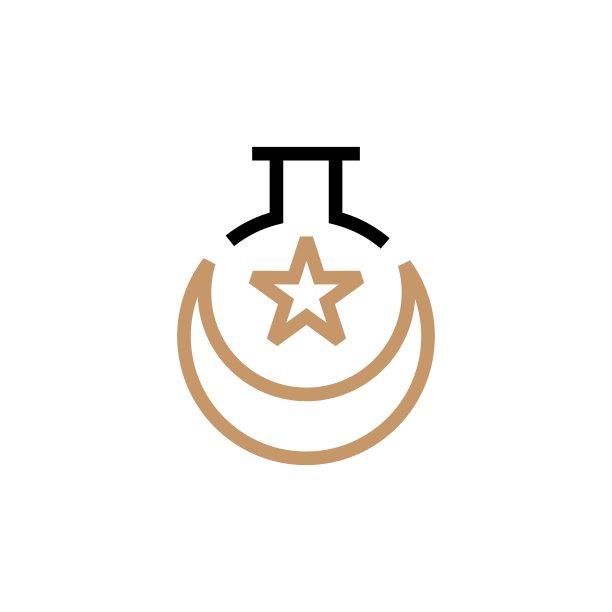 穆斯林实验室轮廓新月月亮星矢量图标插图图片下载