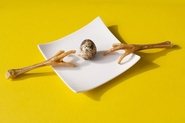 鸡爪与一个阴影在一个白色的盘子在黄色的背景。有创意的照片。狗狗的奖励图片下载