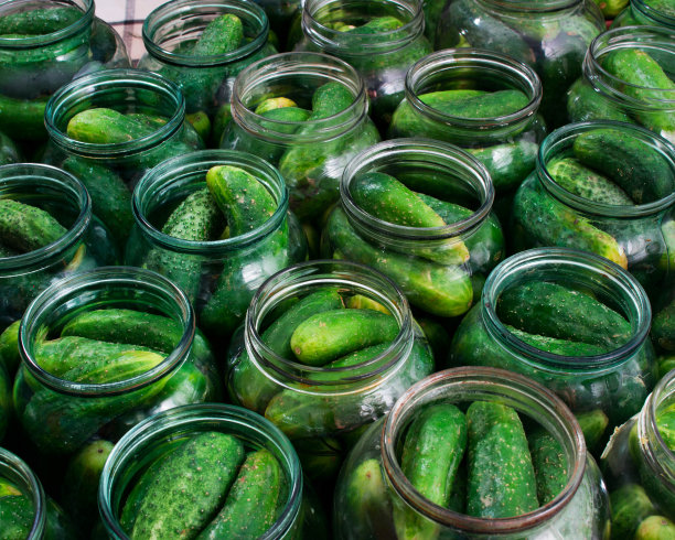 新鲜黄瓜罐头图片下载