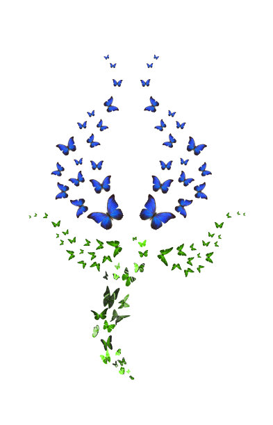 一组郁金香形状的蝴蝶孤立在白色的背景上。蓝芽。热带昆虫。用于设计的彩色飞蛾图片下载