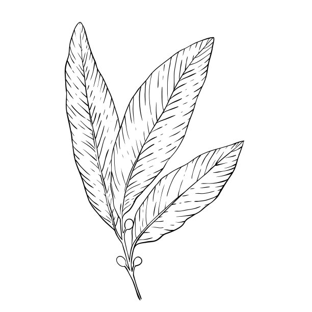 设计社交网络网络广告图片下载