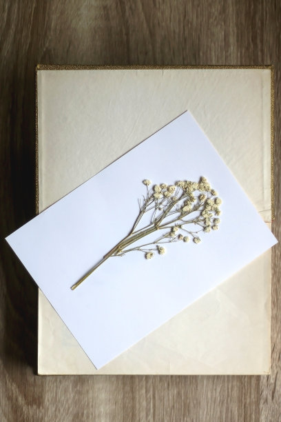 按下的花朵图片下载