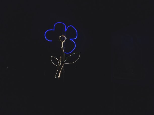 花型装饰灯图片下载