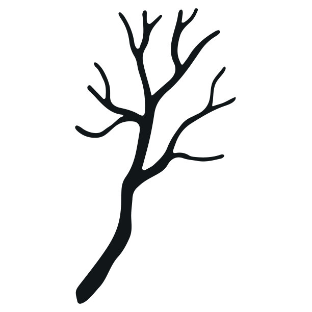 手绘的树枝没有叶子孤立在白色图片下载