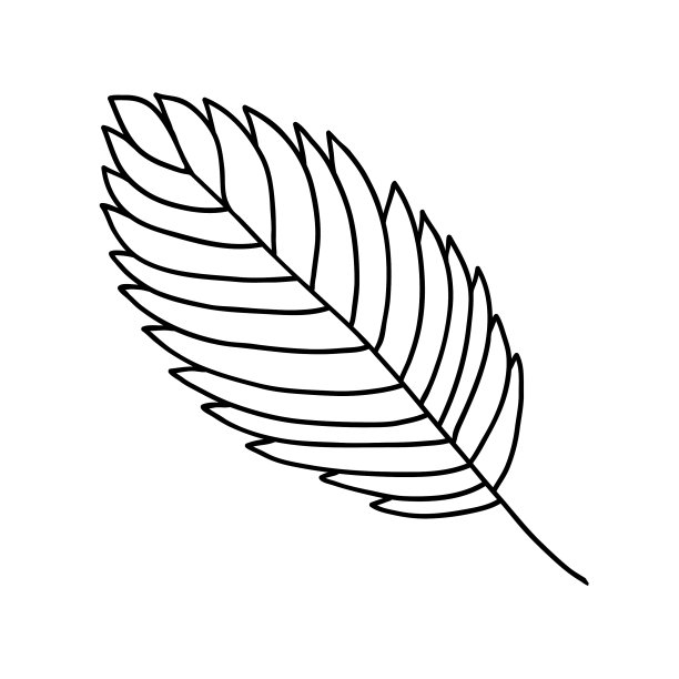 植物的线条艺术或轮廓装饰图片下载