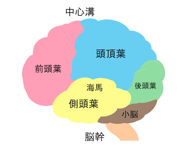 脑色名无线图片下载