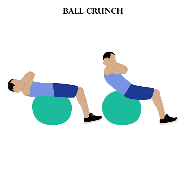 球紧缩运动力量锻炼矢量插图图片下载