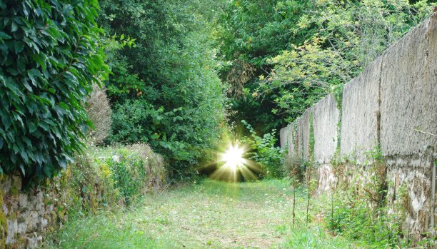 绿光路图片下载