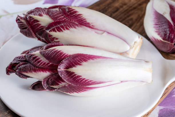 健康食品比利时菊苣，红菊苣，生菜图片下载