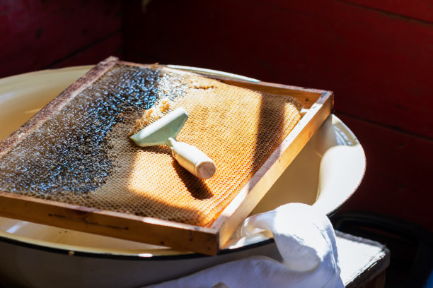 在一个黄色的大碗上有一个沉重的蜂巢框架和打开盖子的特殊工具，在室内阳光下，蜂巢里充满了蜂蜜图片下载