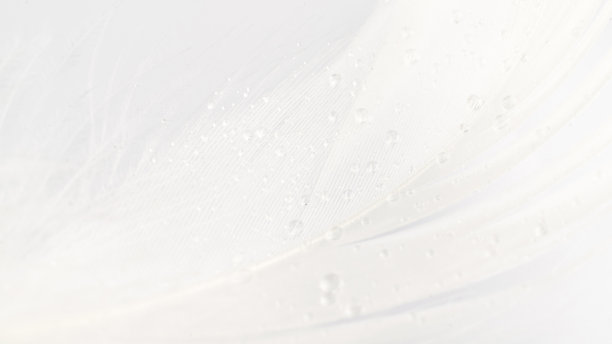 羽毛的空气。彩色蜡笔天使羽毛特写纹理在白色背景微距摄影，软焦点。敏感性的概念对自然的反应。图片下载