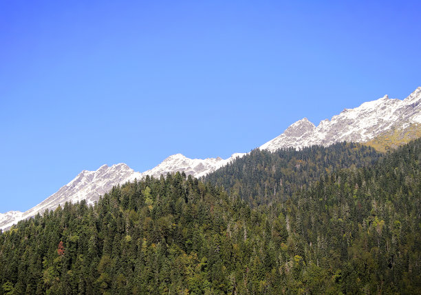高加索山脉的山峰图片下载