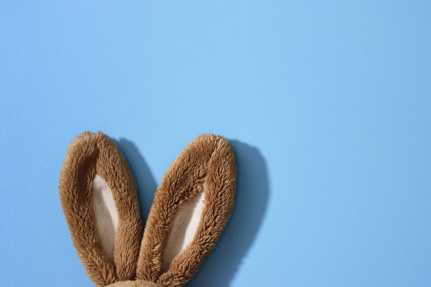 复活节兔子耳朵的极简概念图片下载