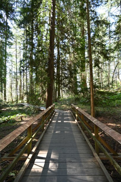 弗朗西斯国王公园图片下载