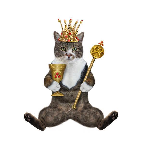 猫的颜色与权杖和高脚杯图片下载
