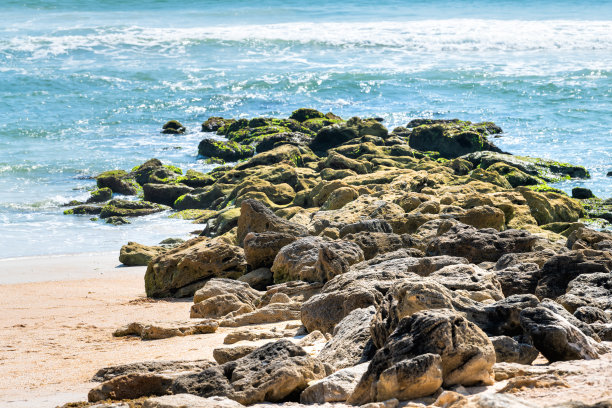 河流到海洋保护在棕榈海岸，佛罗里达海滩岩石的形成和绿色蓝色的大西洋海浪圣奥古斯丁图片下载