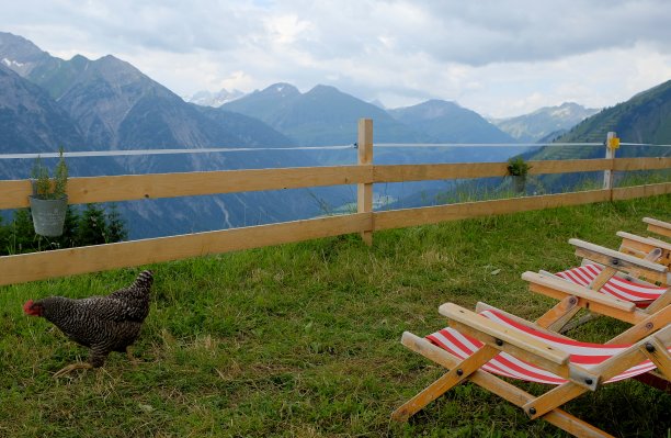 一只鸡和一些闲逛的人望着篱笆外的山图片下载