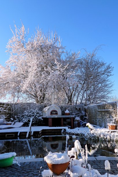 在我们的池塘周围-春天开始的巴伐利亚，德国。图片下载