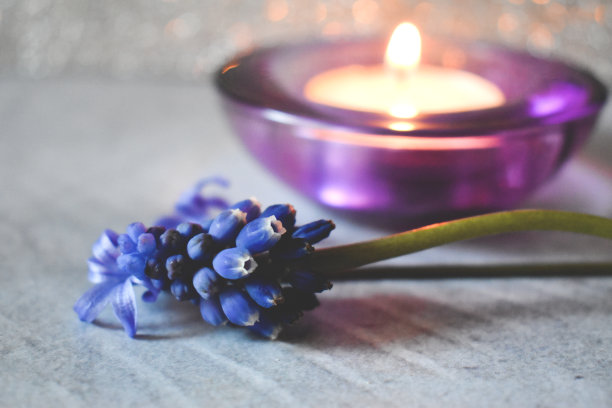 灰色背景上的紫色花朵和蜡烛图片下载
