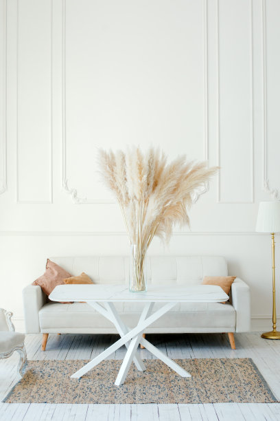 北欧客厅墙上的复制空间，现代沙发，干燥的潘帕斯草花瓶和大餐厅，真实的照片，中性的米色色调，复制空间。舒适的室内图片下载