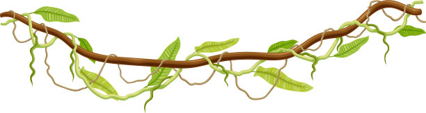 藤本植物为长茎的木质藤本植物，攀缘和图片下载