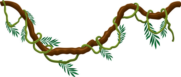 藤本植物为长茎的木质藤本植物，攀缘和图片下载