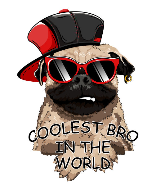 法国斗牛犬的狗图片下载