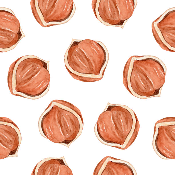 水彩榛子无缝模式上的白色背景图片下载