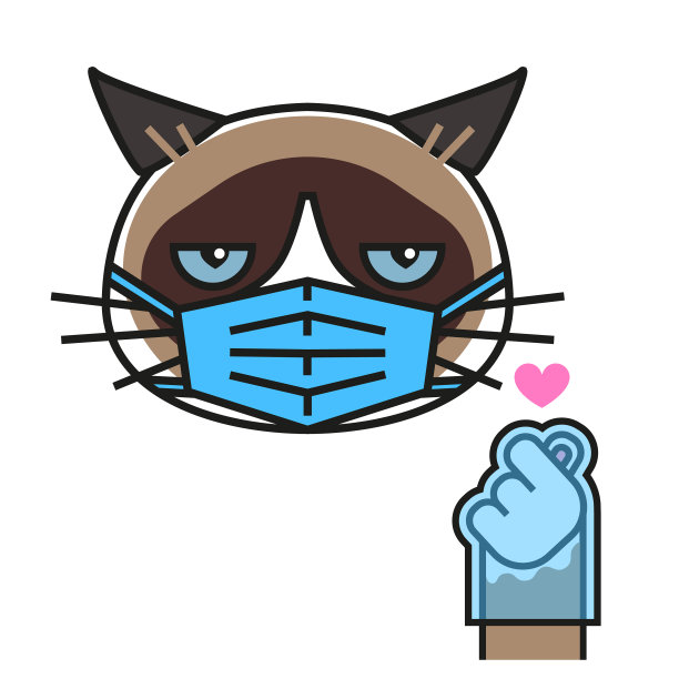 不爽猫喜欢戴医用口罩和手套图片下载