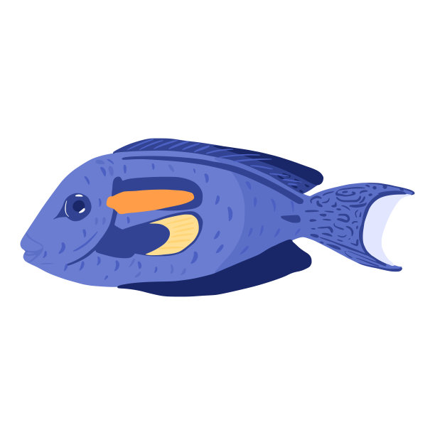 外科医生在白色背景下隔离。可爱的水生人物蓝色手绘风格。图片下载