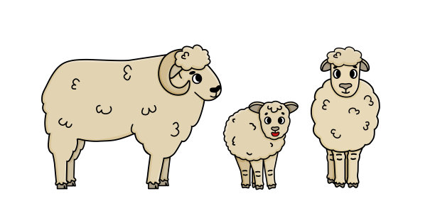 矢量手绘涂鸦农场的动物家庭。可爱的卡通绵羊妈妈，爸爸和毛茸茸的小羊羔宝宝。孤立的字符在白色背景，侧面和正面视图图片下载