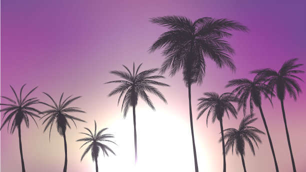 夏天的棕榈树在日落的景象。矢量插图。每股收益10图片下载