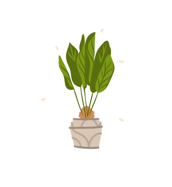 手绘向量抽象股票图形波西米亚剪纸插图与美，城市家居斯堪的纳维亚室内设计元素的绿色植物盆栽孤立在白色的背景图片下载