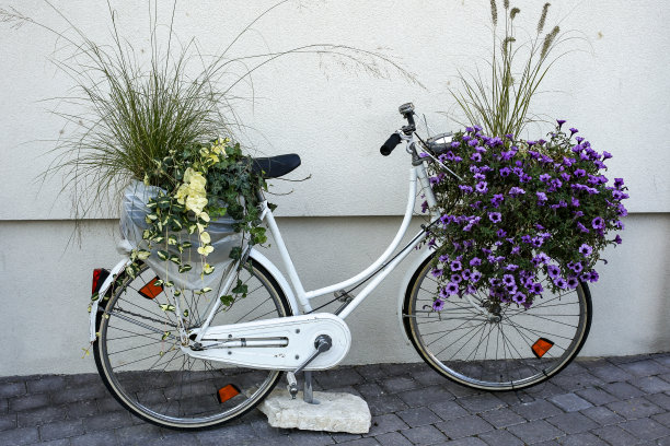 自行车上装饰着鲜花，装饰着街道图片下载