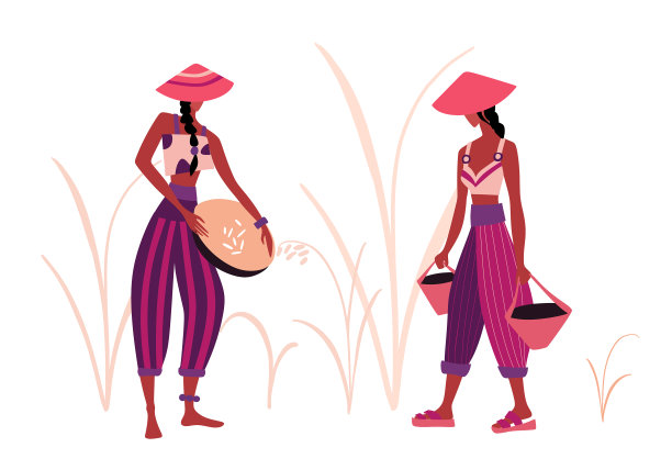 平坦的农民亚洲人耕种的稻田图片下载