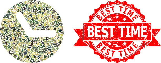 遇险最好时间戳印章和军章图片下载