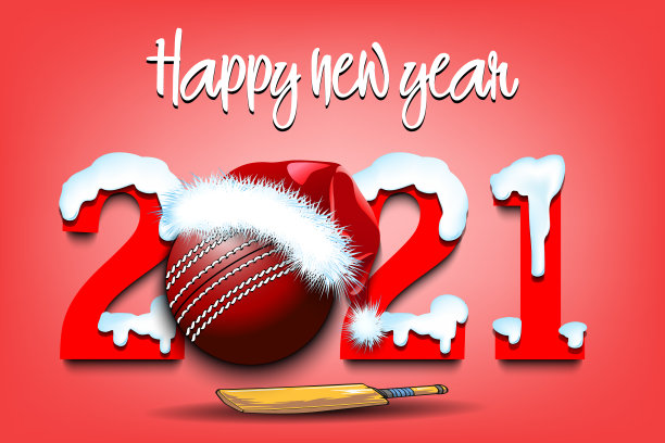下雪的新年数字2021和板球图片下载