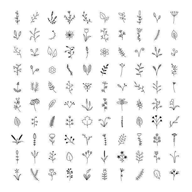 设置百花图片下载